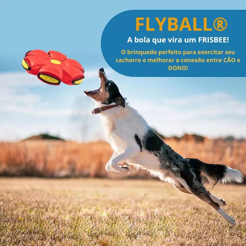 Flyball Bola Voadora para Cães (COMPRE 1 LEVE 2)